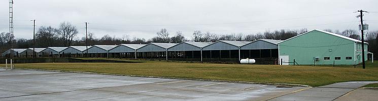 Quality Livestock